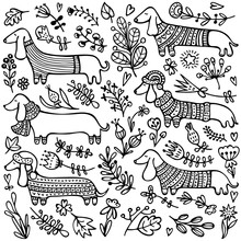 Collection Of Cute Dachshunds Wearing Knitted Sweaters, Scarves, And Hats, Surrounded By Floral Elements. Black And White Hand-drawn, Doodle Vector Illustration.