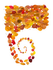 Wall Mural - pile and spiral stream from fallen leaves isolated