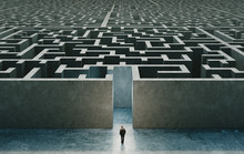 Businessman Standing In Front Of The Entrance To The Maze. 3d Rendering