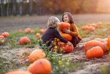 Two Little Boys Having Fun In A Pumpkin Patch
