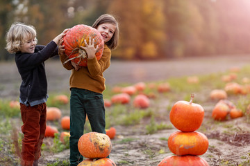 Wall Mural - Two little boys having fun in a pumpkin patch