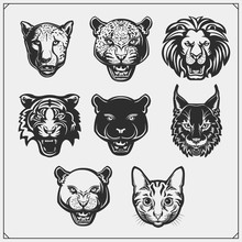 Vector Emblems With Bobcat, Lion, Panther, Cat, Cheetah, Cougar And Leopard For A Sport Club. Design For T-shirt.