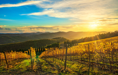 Wall Mural - Radda in Chianti vineyard and panorama at sunset. Tuscany, Italy