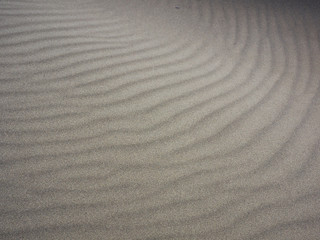 Gray sand dune with textures