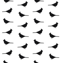 Vector Seamless Pattern Of Red Cardinal Bird Silhouette Isolated On White Background