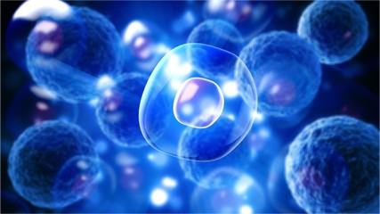 Wall Mural - human stem cells illustration background