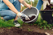 © Viktoriia - Volunteering. Young people volunteers outdoors planting trees putting fertilizer into hole close-up