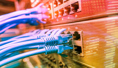 Information Technology Computer Network, Telecommunication Ethernet Cables Connected to Internet Switch.