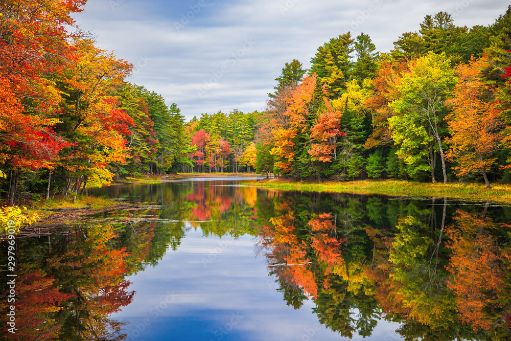 Colorful foliage tree reflections in calm pond water on a beautiful autumn day in New England - obrazy, fototapety, plakaty 