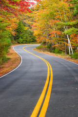 Wall Mural - winding road curves through scenic autumn foliage trees in new england.