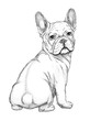 A sketch of a charming french bulldog. Drawing of a cute dog. Realistic illustration of a puppy.