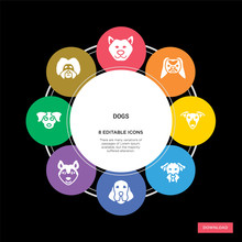 8 Dogs Concept Icons Infographic Design. Dogs Concept Infographic Design On Black Background