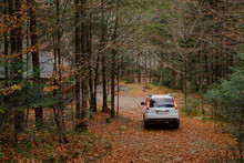 White Suv Car In Autumn Forest Gazebo Bbq Place