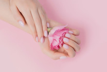 Solid Manicure On Girl Nails With Gel Polish, Hands Holding Flower On Pink Background. Concept Natural Organic Skin Care