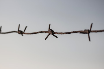 barbed wire on a sky background