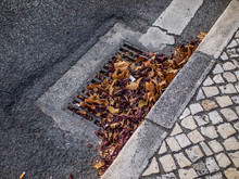 Obstructed Gutter On Road With Falled Leaves At Autumn