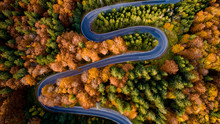 Aerial View Of Forest Road In Beautiful Autumn .at Sunset. Serpentine Asphalt Road Details With Colourful Landscape With Heavy Traffic And Yellow Trees