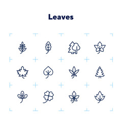 Poster - Leaves line icon set. Maple, oak, fir tree. Nature concept. Can be used for topics like forest, park, ecology