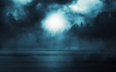 Poster - Empty dark background. Moonlight through the trees in the forest. Night view. Moonlight reflection on the pavement. Smoke, fog