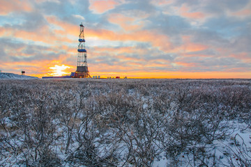 Wall Mural - Vegetation of the northern tundra in the winter in the Arctic. In the background is a drilling rig for oil and gas drilling. The sun of the polar day sparkles through the clouds. Backlighting.