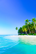Beautiful Caribbean Landscape With Palm Tree On The Beach