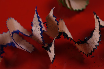 wooden shavings from colored pencils on a red background close-up