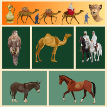 Arabian Animals Set, Vector Image In Realistic Style