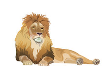 Lion Lying Down, Vector Image In Realistic Style