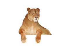 Lioness Resting, Vector Image In Realistic Style