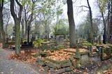 Fototapeta  - Tombstones and trees at the old cemetery.