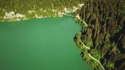 Wall Mural - Tilt shot of turquoise mountain lake in France during summer