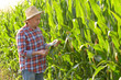 © Mikhailov Studio - Farmer in straw hat inspecting corn with green field at background