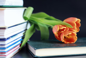 Canvas Print - A stack of textbooks and books on the table. The concept of knowledge.