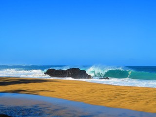 Wall Mural - exploring tropical island of kauai