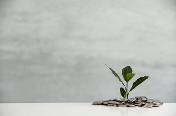 Pile of coins and young green plant on table against light background, space for text