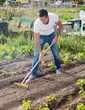 © JackF - Man is leveling the beds ground with a rake