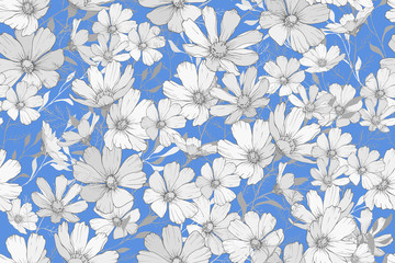  Floral seamless pattern with cosmos flower. White flowers on blue background. For textile, wallpapers, print, greeting, web pages. Vector. Monochrome.