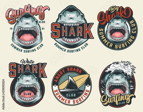 Colorful vintage surfing club badges
