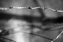 Closeup Of Shiny Strained Metal Barbed Wire On Blurred Background In Black And White
