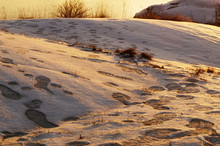 Quiet Snowy Cliff With Footprints At Bank Of Still River On Sunset