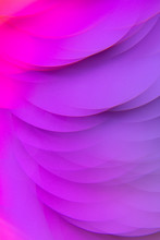 Purple And Pink Geometric Shapes. Abstract Photo.