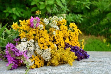 Wall Mural - Bouquet of medicinal fresh herbs on a wooden table on the background of the garden