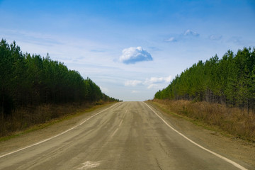 A long straight empty asphalt road through green forest on sunny day, perspective. Travel concept