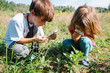 © Maria Manco/Stocksy - children observe caterpillars