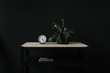 © Nicole Mason/Stocksy - plant and analog clock on table top in front of black wall