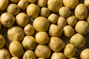 Poster - Organic White Baby Potatoes