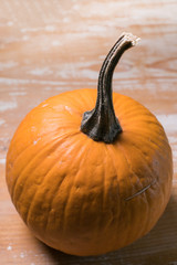 Poster - orange pumpkin displayed on chubby chique surface