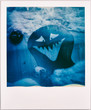© visualspectrum/Stocksy - Blue Smiling Ghost Vintage Polaroid