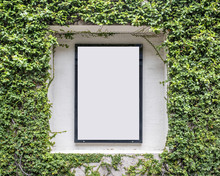 Ivy Wall Frame For Poster