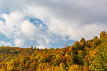 Golden autumn high in the mountains